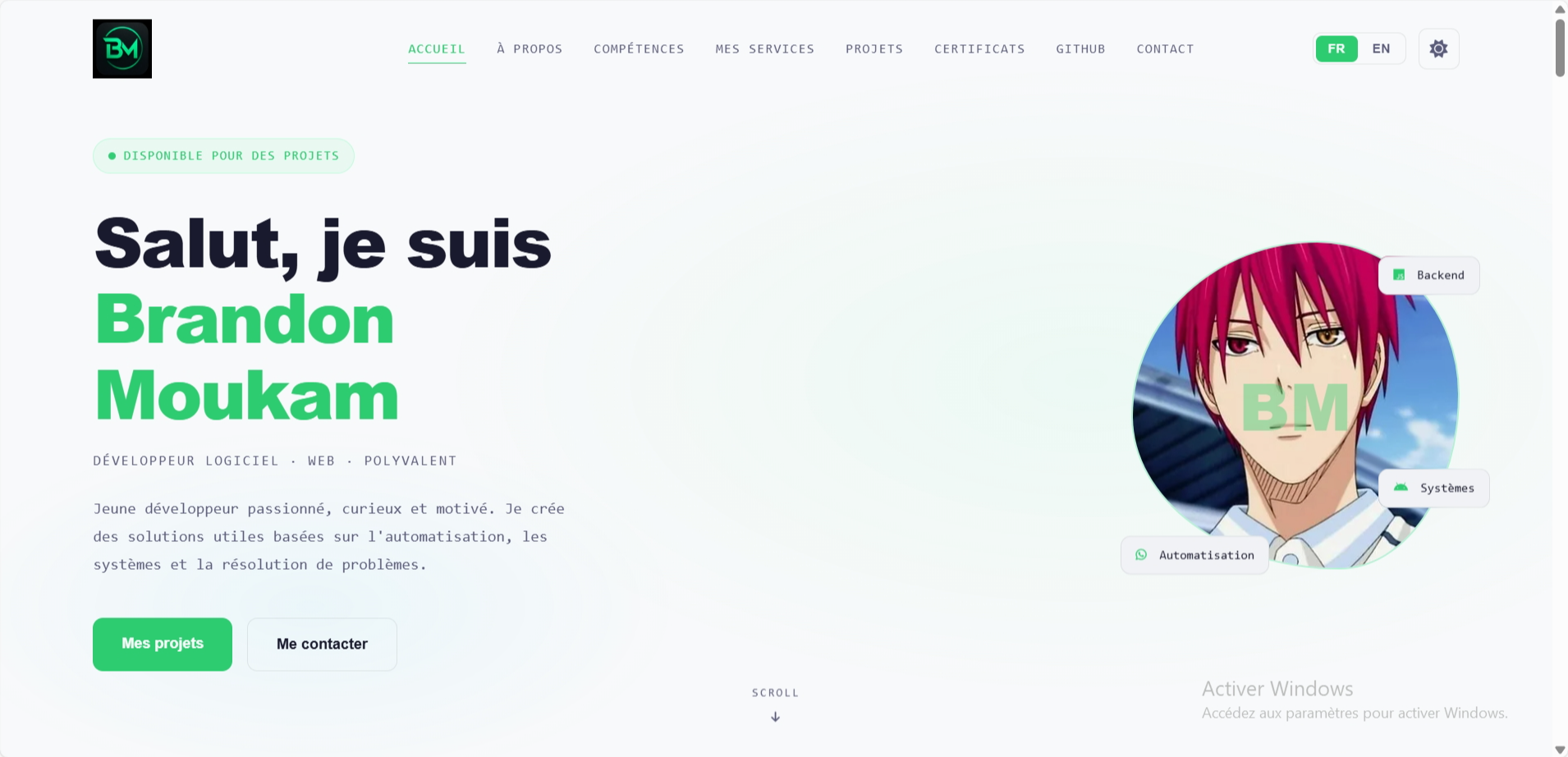 Portfolio BM